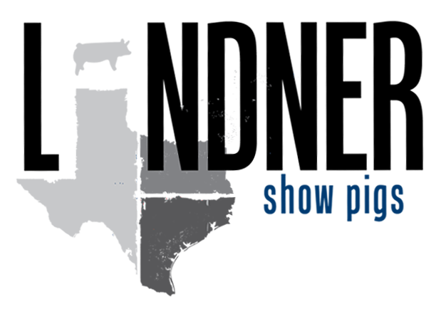 Lindner Showpigs