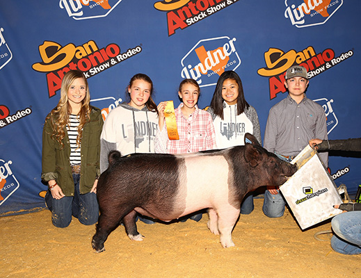 Lindner Show Pigs Winners