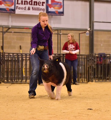 Lindner Show Pigs Winners