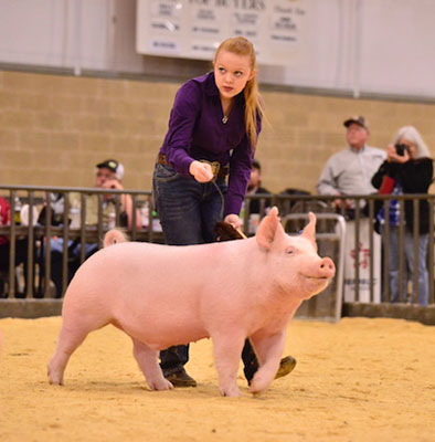 Lindner Show Pigs Winners