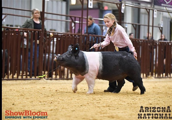 Lindner Show Pigs Winners