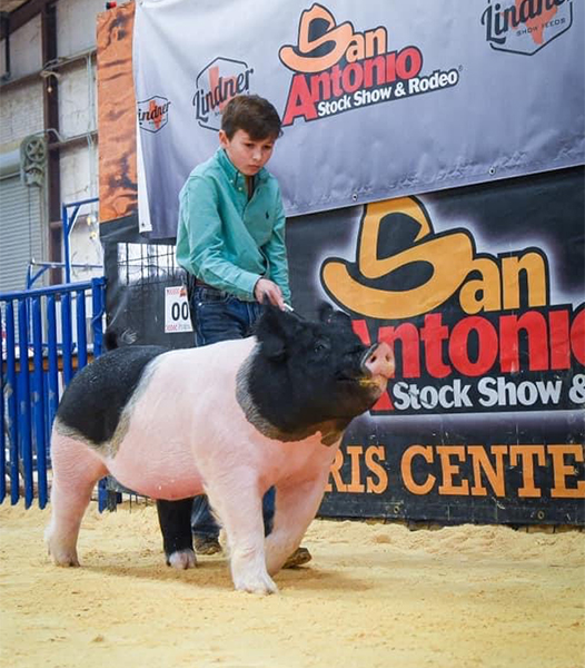 Lindner Show Pigs Winners