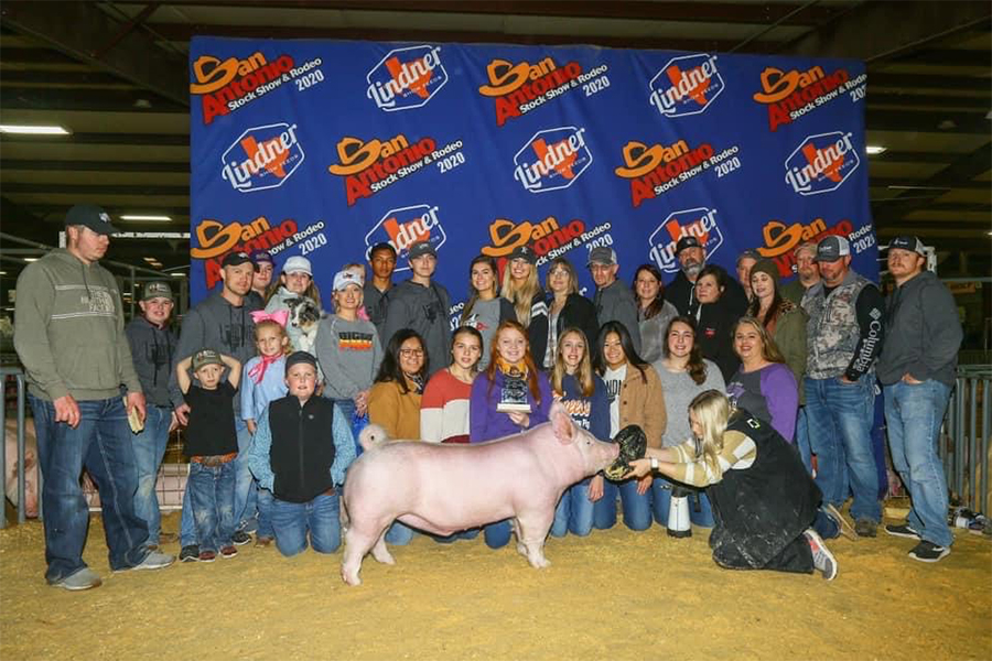 Lindner Show Pigs Winners