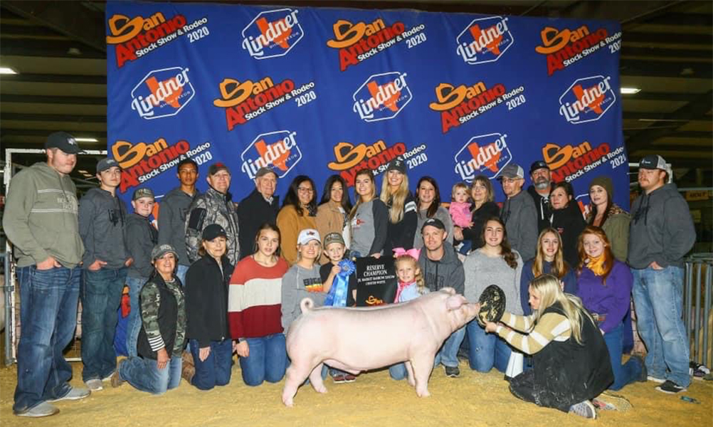 Lindner Showpigs Winners