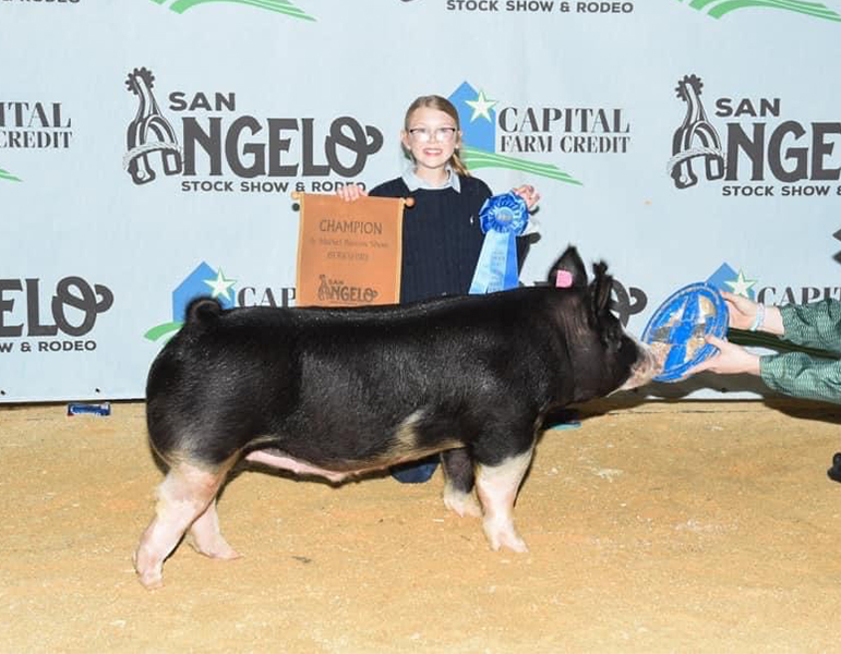 Lindner Showpigs Winners