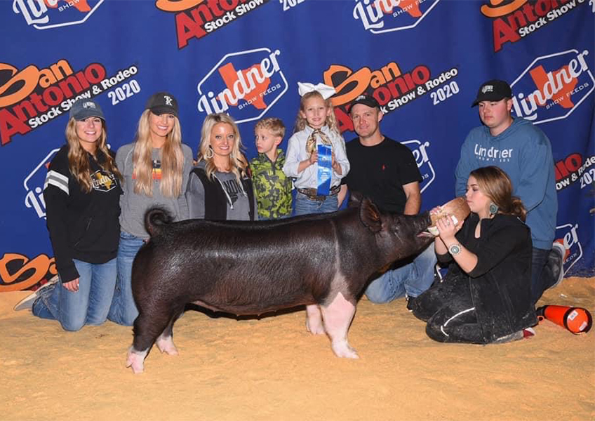 Lindner Showpigs Winners