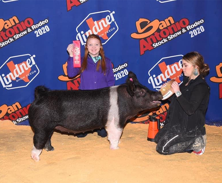 Lindner Showpigs Winers