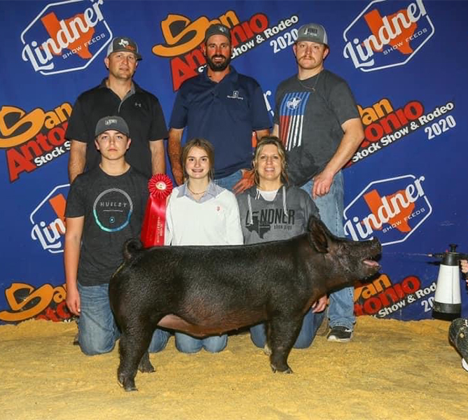 Lindner Showpigs Winners