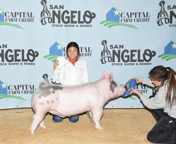 Linder Show Pis Winners