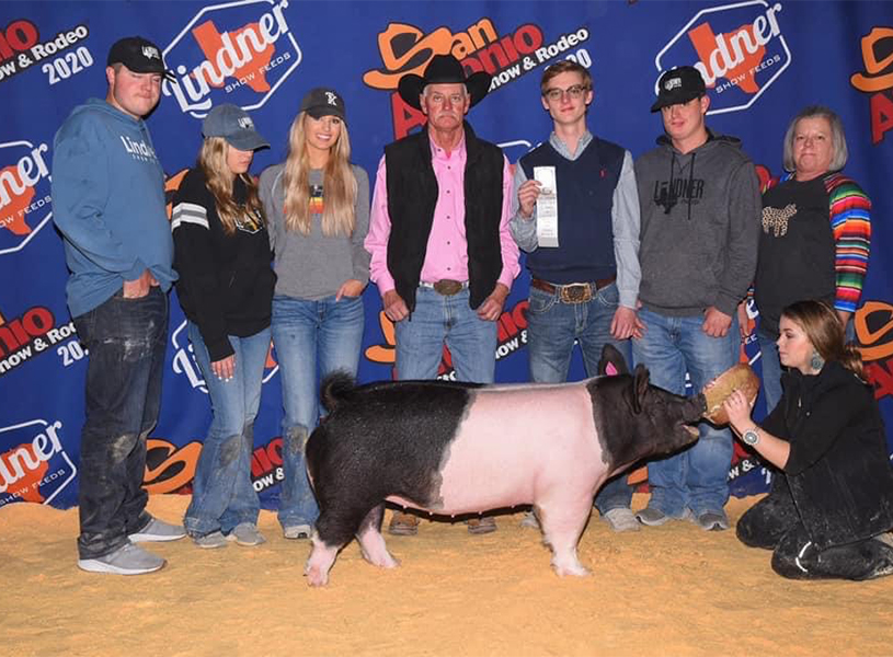 Lindner Showpigs Winners