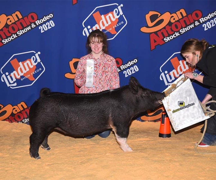 Lindner Showpigs Winners