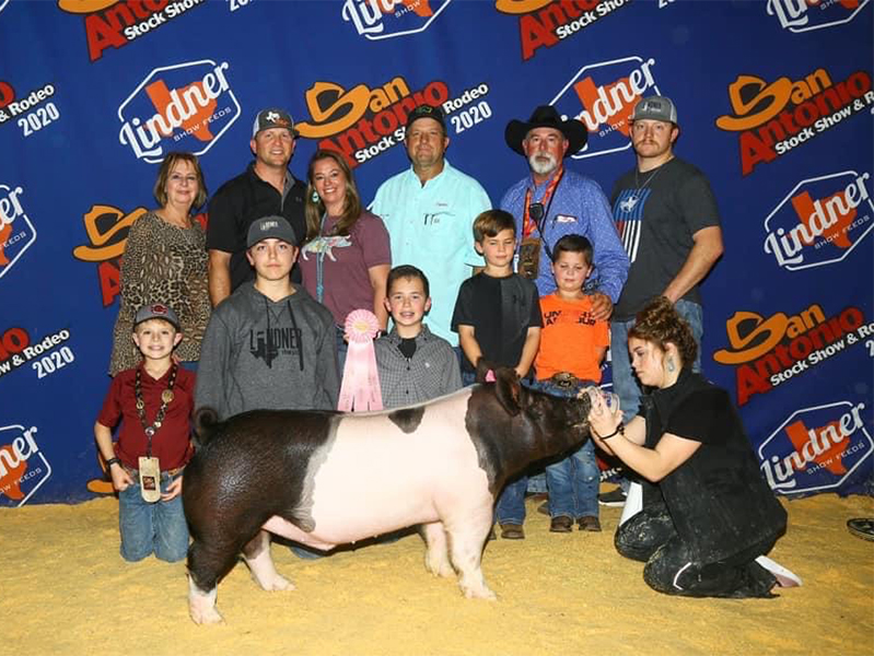 Lindner Showpigs Winners