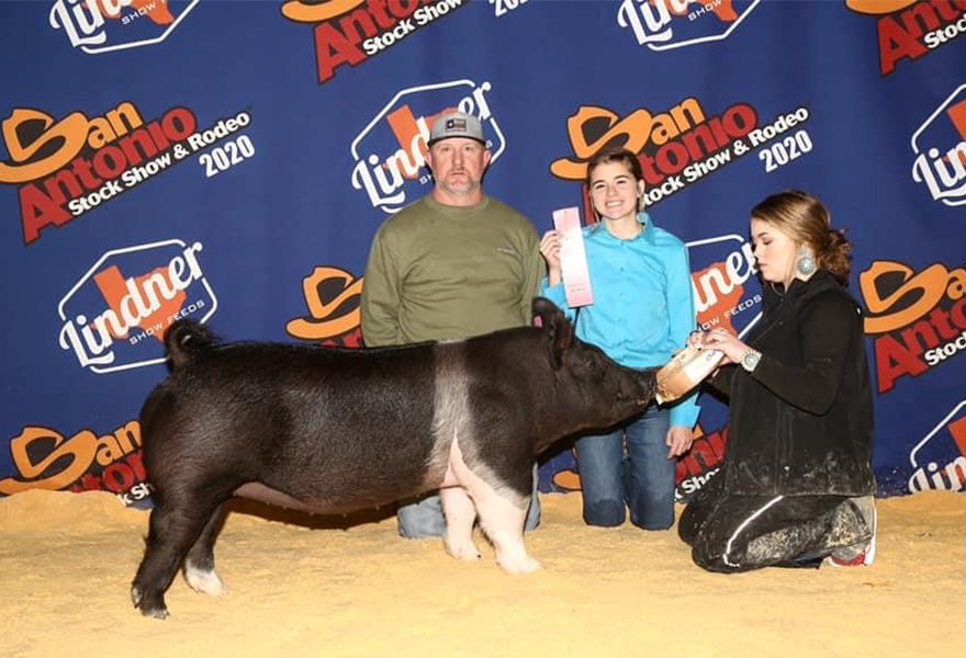 Lindner Showpigs Winners