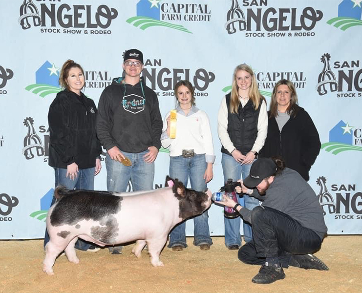Lindner Showpigs Winners