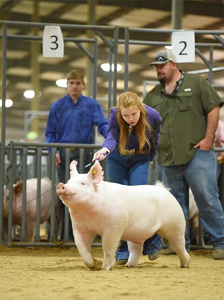 Lindner Show Pigs Winners