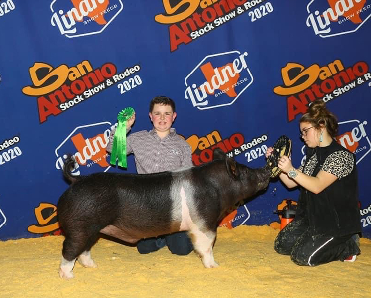 Lindner Show Pigs Winners