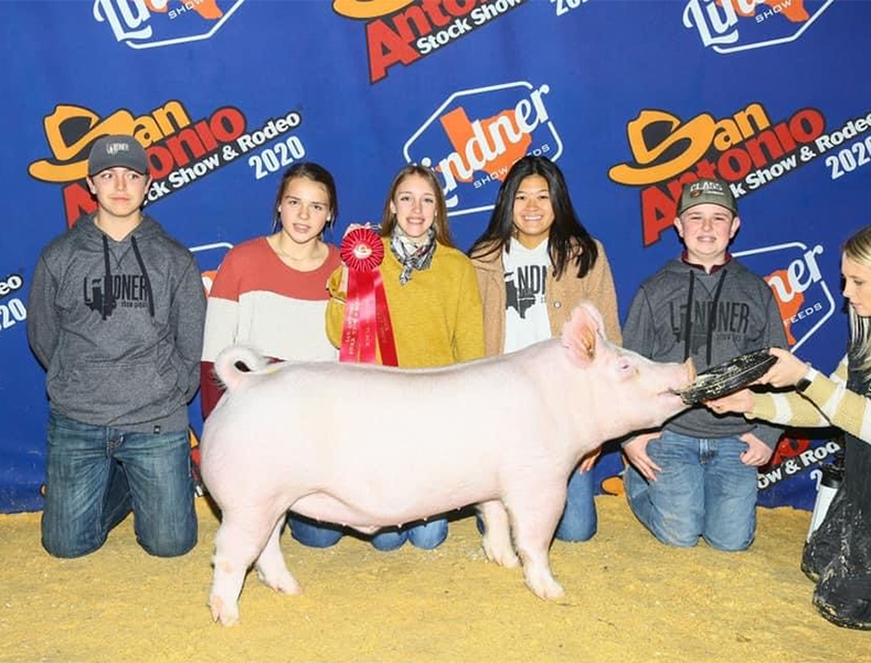 Lindner Show Pigs Winners