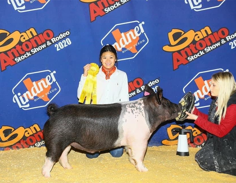 Lindner Showpigs Winners