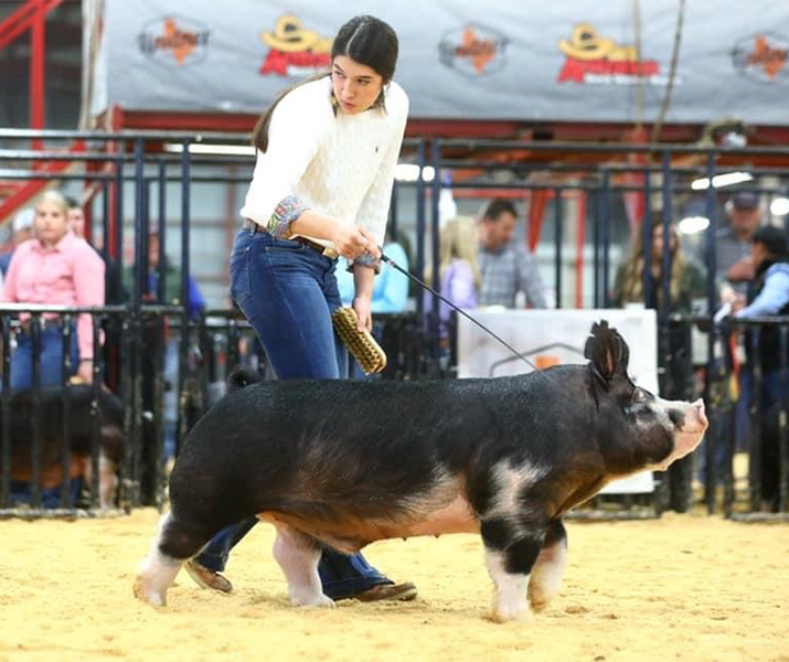 Lindner Show Pigs Winners